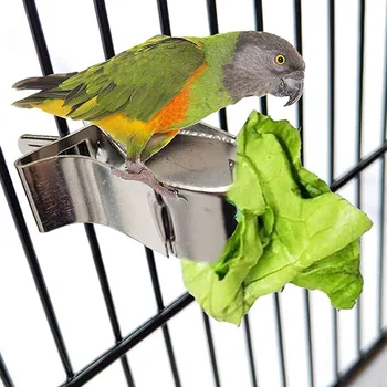 A madarak Élelmiszer Birtokosa Pet Papagáj Etetés Gyümölcs Vegtable Klip Adagoló Készülék Pin-Clamp Tartós Háztartási Kellékek Madár Ketrec új