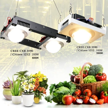 CREE CXB3590 Nő LED Fény Teljes Spektrumát 100W 200W 3000K 3500K 5000K Állampolgár 1212 Növény Nő Lámpa Üvegházak Hidroponikus Növény