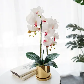 Lakberendezési Szimuláció Phalaenopsis Öltöny Bonsai Mesterséges Virág Kiváló Minőségű Északi Táblázat Virág Cserepes Növény+Váza +Levél