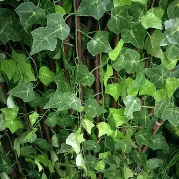 Magas fal mesterséges borostyán édes zöld levelek ivy boston növény dekoráció művészet nagy boston ivy szőlő Lombozat a fesztivál