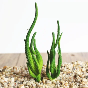 Új Mesterséges Kaktusz pozsgás növények Műanyag Bonsai Virágok, DIY, lakberendezés Hamis Növények Táj Asztal Dekoratív Sivatagi növény, 2db